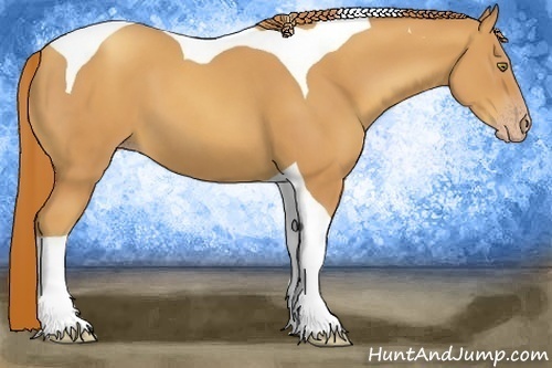 Horse Color:Gold Champagne Tobiano 