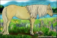 Horse Color:Watercolor Palomino 