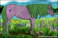 Horse Color:Watercolor Bay 