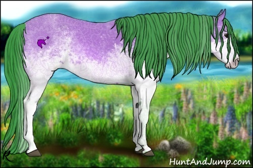 Horse Color:Watercolor White Spotted Bay 