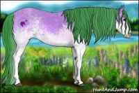 Horse Color:Watercolor White Spotted Bay 