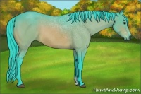 Horse Color:Watercolor Bay 