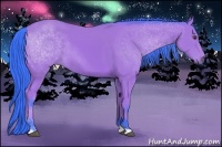 Horse Color:Watercolor Bay 