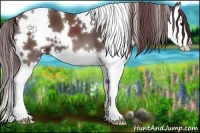 Horse Color:White Spotted Chocolate Black Splash