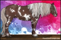 Horse Color:White Spotted Chocolate Silver Brown