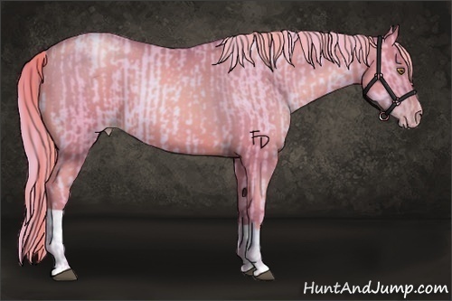 Horse Color:Watercolor Liver Chestnut Pearl and Watercolor Liver Chestnut Pearl