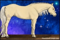 Horse Color:Palomino