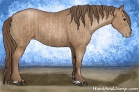 Horse Color:Black Pearl  and Black Pearl 