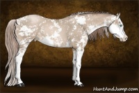 Horse Color:Smoky Black Pearl Sabino 