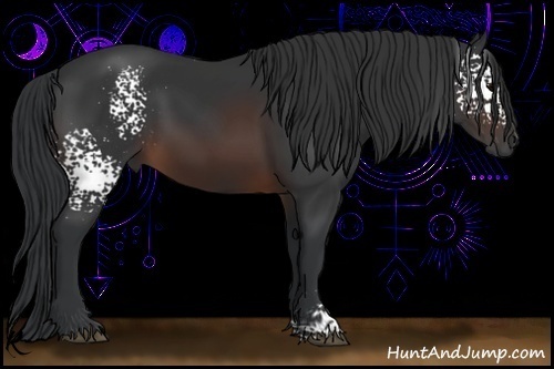 Horse Color:White Spotted Brown 