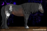 Horse Color:White Spotted Brown 