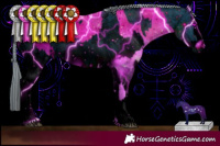 Horse Color:ERROR: UNKNOWN ANOMALY and ERROR: UNKNOWN ANOMALY