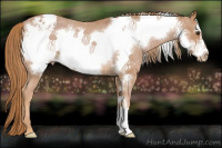 Horse Color:Red Roan Frame Varnish Rabicano 