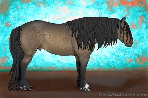 Horse Color:Bay Dun Sabino 