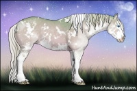 Horse Color:Watercolor White Spotted Chocolate Silver Bay Dun Splash