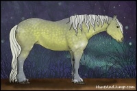 Horse Color:Watercolor Silver Bay Sabino