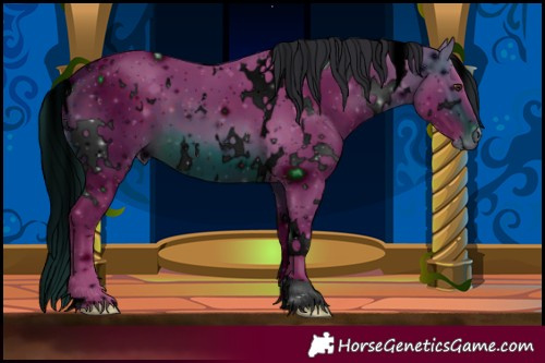 Horse Color:ERROR: UNKNOWN ANOMALY