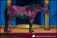 Horse Color:ERROR: UNKNOWN ANOMALY