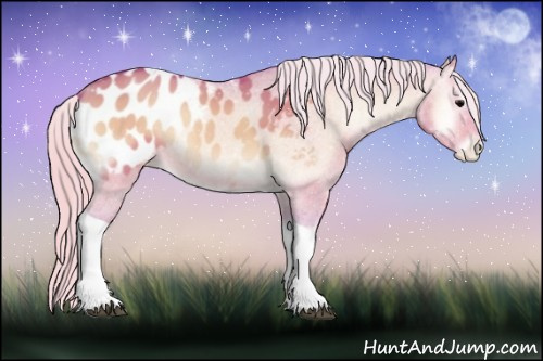 Horse Color:Watercolor Silver Brown Onyx Tobiano Appaloosa 