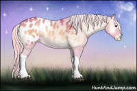 Horse Color:Watercolor Silver Brown Onyx Tobiano Appaloosa 