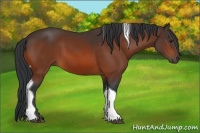 Horse Color:Bay Tobiano 