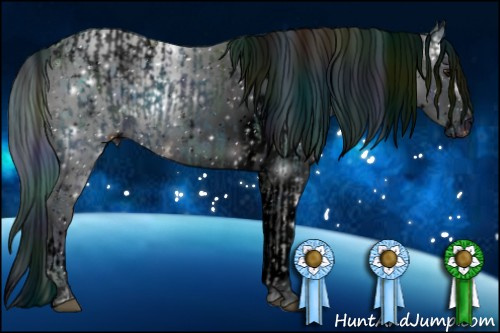 Horse Color:ERROR: UNKNOWN ANOMALY and ERROR: UNKNOWN ANOMALY