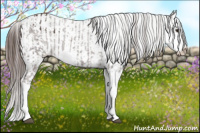 Horse Color:Liver Chestnut Sabino Splash Appaloosa and Liver Chestnut Sabino Splash Appaloosa