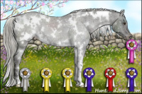 Horse Color:White Spotted Liver Chestnut Varnish 