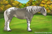 Horse Color:Chocolate Palomino Tobiano 