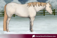 Horse Color:Buckskin Roan Pearl and Buckskin Roan Pearl
