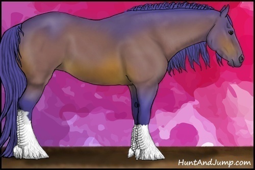 Horse Color:Watercolor Bay 