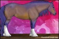 Horse Color:Watercolor Bay 
