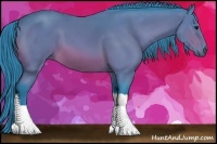 Horse Color:Watercolor Bay 