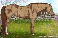Horse Color:Chestnut  and Red Dun 