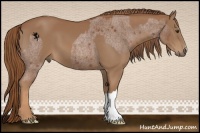 Horse Color:Red Roan  and Chestnut 