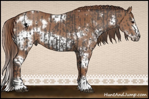 Horse Color:Smoky Black and White Spotted Chestnut Frame