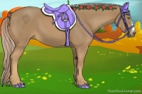 Horse Color:Palomino