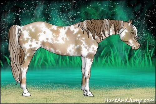 Horse Color:White Spotted Liver Chestnut Pearl