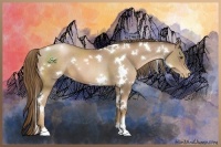 Horse Color:White Spotted Liver Chestnut Pearl 