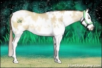Horse Color:White Spotted Liver Red Dun Pearl Splash 