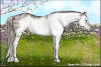 Horse Color:White Spotted Liver Chestnut Splash Frame