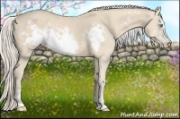 Horse Color:Cremello Frame 