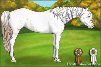Horse Color:Amber Cream Champagne Tobiano Appaloosa 