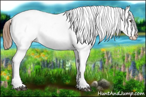Horse Color:Chestnut Leopard 