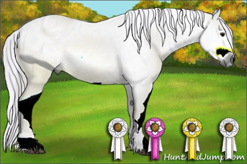 Horse Color:ERROR: UNKNOWN ANOMALY