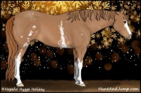 Horse Color:White Spotted Chestnut