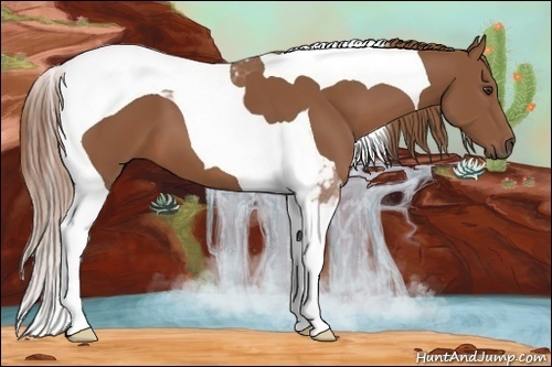 Horse Color:Chestnut Tobiano