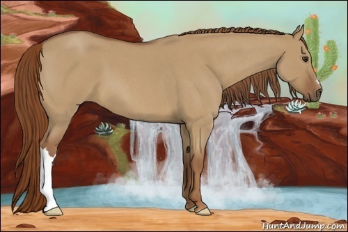 Horse Color:Red Dun Roan