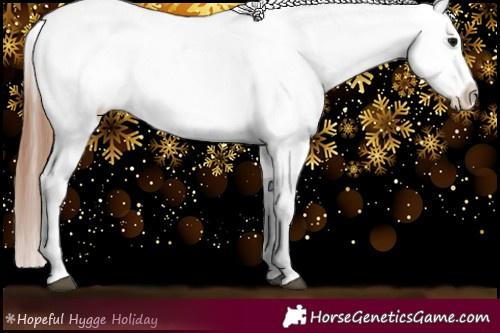 Horse Color:Black Sabino Appaloosa 