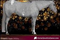 Horse Color:Black Sabino Varnish 